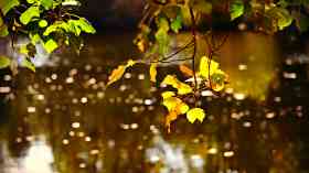 Sustainable drainage for Welsh properties from next year