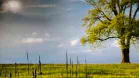 £200 million boost for rural England