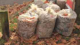 Councils charging £74 million for garden waste collection