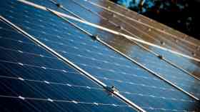 West Suffolk Council celebrates solar farm success