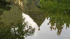 Warning that rural communities left behind by LEPs