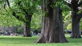 55,000 free trees up for grabs in London