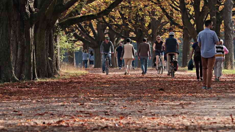 People walking and cycling in a park