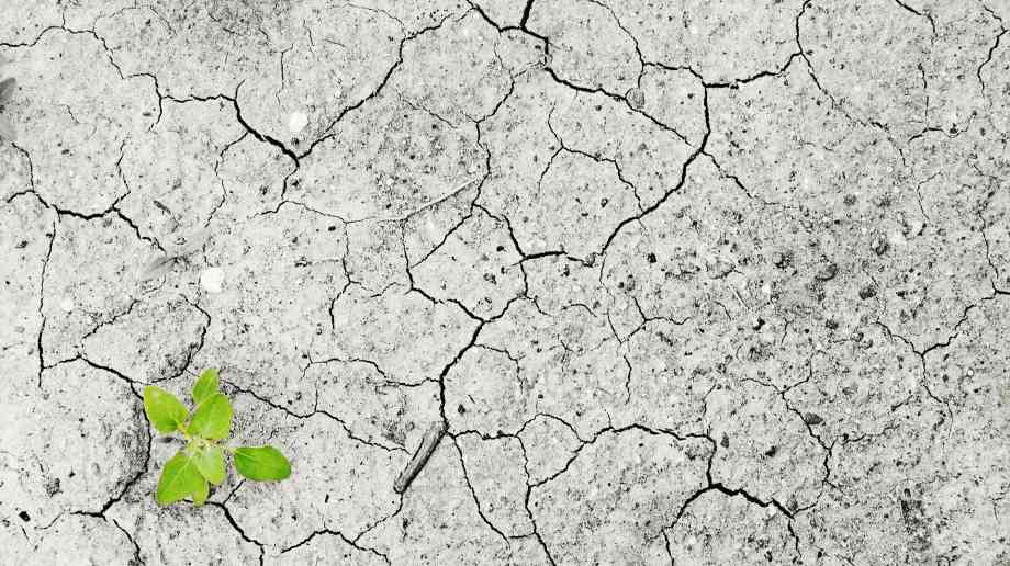 LGA suggests joint national taskforce on Climate Change