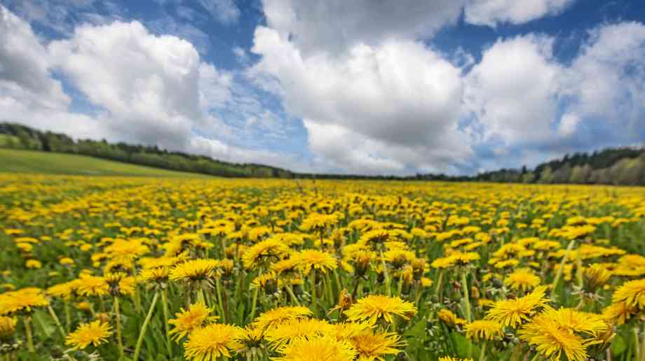 MPs press for Nature report to be published