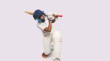Cricket