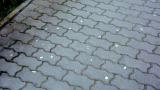 Chewing gum streets
