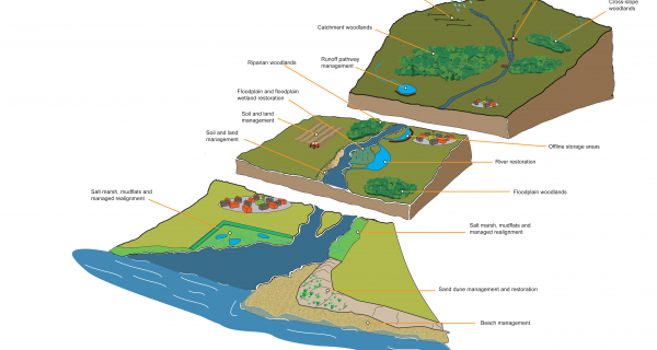 Natural flood management – taking it forward