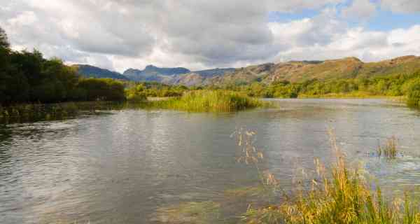 Cumbria County Council