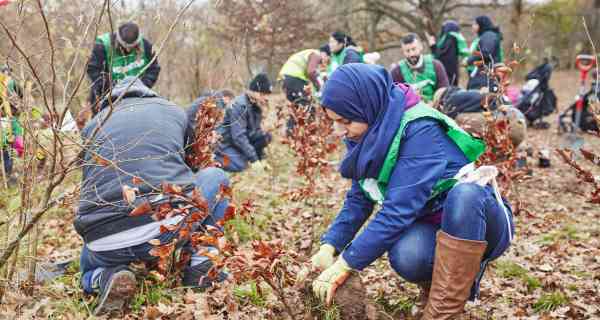 Trees – a vital link in urban stormwater management